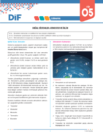 9.Sınıf COĞRAFYA - DİF - FÖY 5