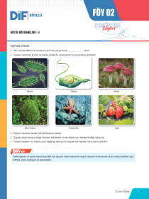 10. SINIF BİYOLOJİ DİF - FÖY-2 - 2022