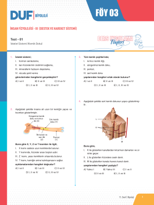 2025 - 11. SINIF BİYOLOJİ DUF - FÖY-3
