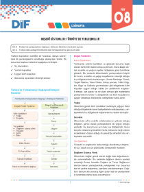 9.Sınıf COĞRAFYA - DİF - FÖY 8