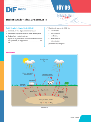 2024 - 10. SINIF BİYOLOJİ DİF - FÖY-9
