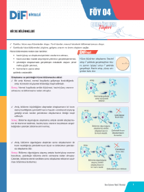 TYT-AYT BİYOLOJİ DİF - FÖY-4 - 2022