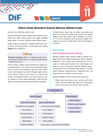 TYT COĞRAFYA - DİF - FÖY 11