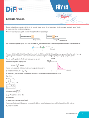 2025 - AYT FİZİK DİF - FÖY-14
