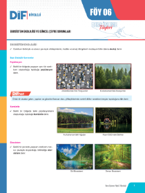 TYT-AYT BİYOLOJİ DİF - FÖY-6 - 2022