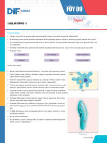 9. SINIF BİYOLOJİ DİF - FÖY-9 - 2022