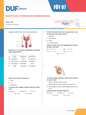 2025 - 11. SINIF BİYOLOJİ DUF - FÖY-7