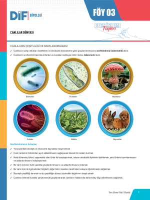 2025 - TYT-AYT BİYOLOJİ DİF - FÖY-3