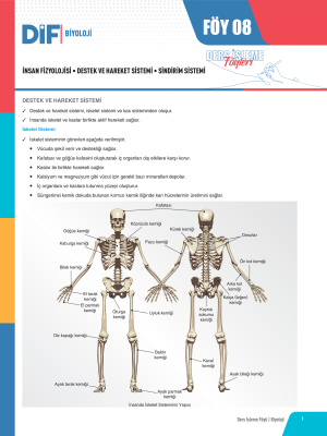 2024 - TYT-AYT BİYOLOJİ DİF - FÖY-8