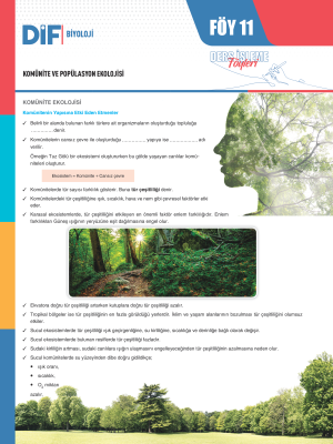 2025 - 11. SINIF BİYOLOJİ DİF - FÖY-11