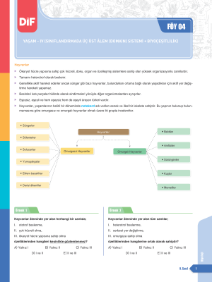 2026 - 9. SINIF BİYOLOJİ DİF - FÖY 4