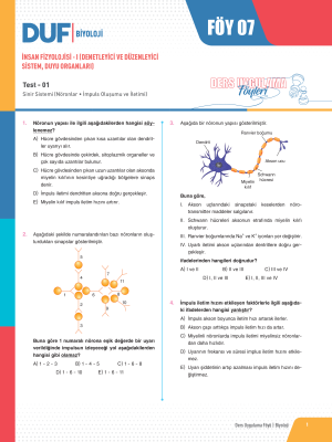 2025 - TYT-AYT BİYOLOJİ DUF-7