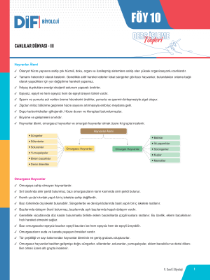 9. SINIF BİYOLOJİ DİF - FÖY-10 - 2022