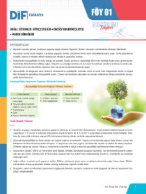 AYT COĞRAFYA DİF - FÖY-1 - 2022