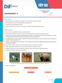 9. SINIF BİYOLOJİ DİF - FÖY-3 - 2022