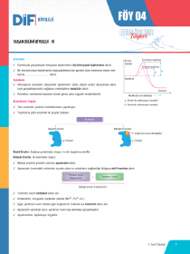 9. SINIF BİYOLOJİ DİF - FÖY-4 - 2022