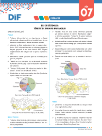 AYT COĞRAFYA - DİF - FÖY 7