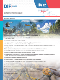 TYT-AYT BİYOLOJİ DİF - FÖY-12 - 2022