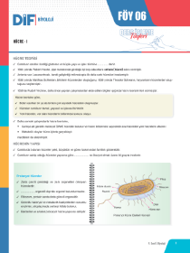 9. SINIF BİYOLOJİ DİF - FÖY-6 - 2022