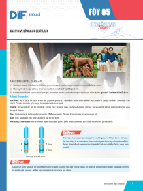 TYT-AYT BİYOLOJİ DİF - FÖY-5 - 2022