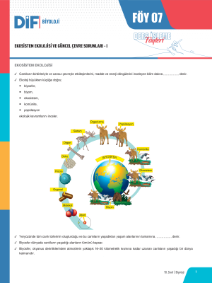 2024 - 10. SINIF BİYOLOJİ DİF - FÖY-7