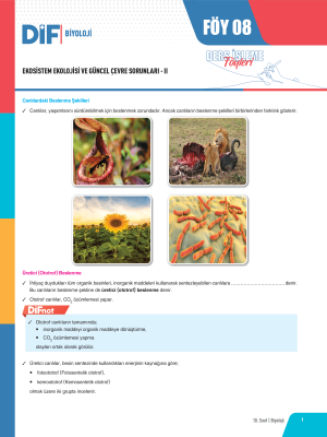 2024 - 10. SINIF BİYOLOJİ DİF - FÖY-8