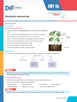 2024 - TYT-AYT BİYOLOJİ DİF - FÖY-15