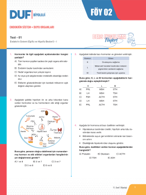 2024 - 11. SINIF BİYOLOJİ DUF - FÖY-2