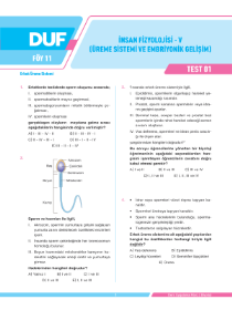 TYT - AYT BİYOLOJİ - DUF - FÖY 11