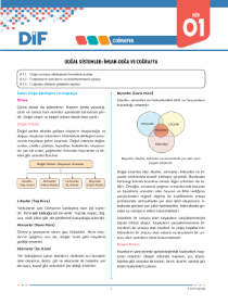 9.Sınıf COĞRAFYA DİF