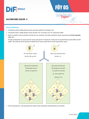 2024 - 10. SINIF BİYOLOJİ DİF - FÖY-5