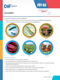 TYT-AYT BİYOLOJİ DİF - FÖY-3 - 2022