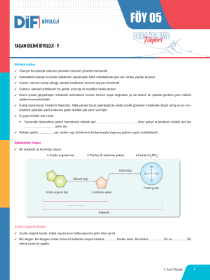 9. SINIF BİYOLOJİ DİF - FÖY-5 - 2022