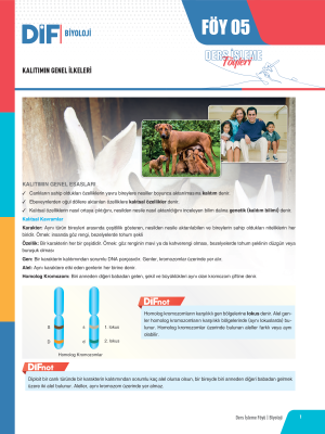 2024 - TYT-AYT BİYOLOJİ DİF - FÖY-5