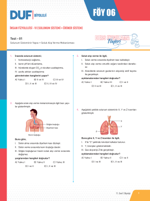 2025 - 11. SINIF BİYOLOJİ DUF - FÖY-6