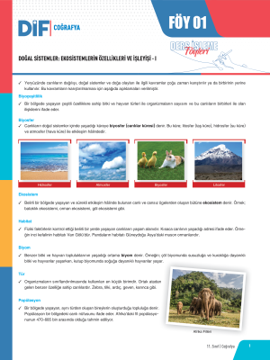 2024 - 11. SINIF COĞRAFYA DİF - FÖY-1