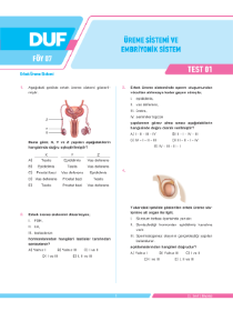 11. SINIF BİYOLOJİ - DUF - FÖY 7