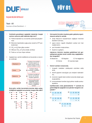 TYT-AYT BİYOLOJİ DUF - FÖY-1 - 2023
