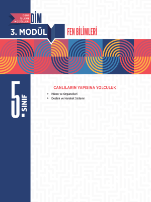 2025 - 5. SINIF FEN BİLİMLERİ DİM - MODÜL-3