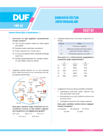 11. SINIF BİYOLOJİ - DUF - FÖY 2