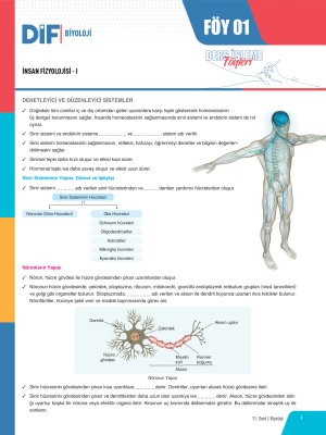 2024 - 11. SINIF BİYOLOJİ DİF - FÖY-1