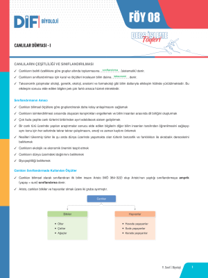 9. SINIF BİYOLOJİ DİF - FÖY-8 - 2023