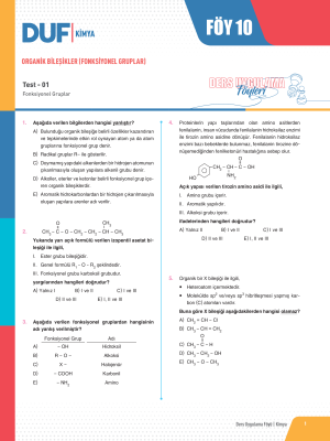 2025 - AYT KİMYA DUF-10