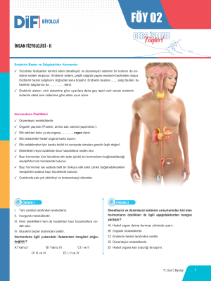 2025 - 11. SINIF BİYOLOJİ DİF - FÖY-2