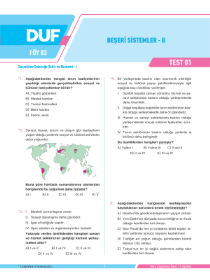 AYT COĞRAFYA (DUF) - F2 - FÖY-3