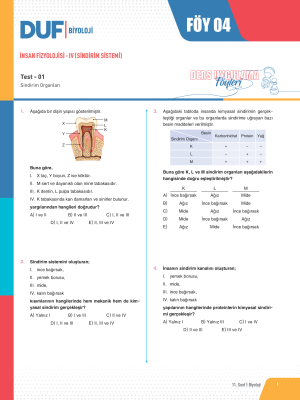 2025 - 11. SINIF BİYOLOJİ DUF - FÖY-4