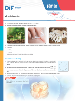 2024 - 10. SINIF BİYOLOJİ DİF - FÖY-1