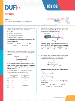 İPTAL_2025 - AYT FİZİK DUF-2
