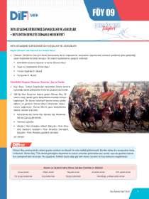 TYT-AYT TARİH DİF - FÖY-9 - 2022