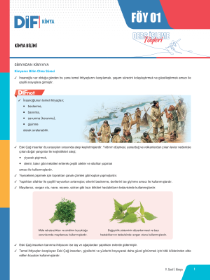 9. SINIF KİMYA DİF - FÖY-6 - 2022 